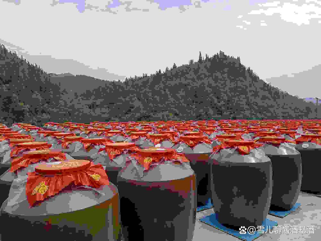 探秘白酒基酒生产基地 从一粒粮到一滴酒的透彻之旅